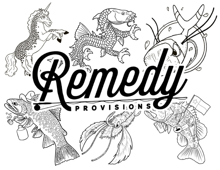 Remedy Provisions Coloring Page