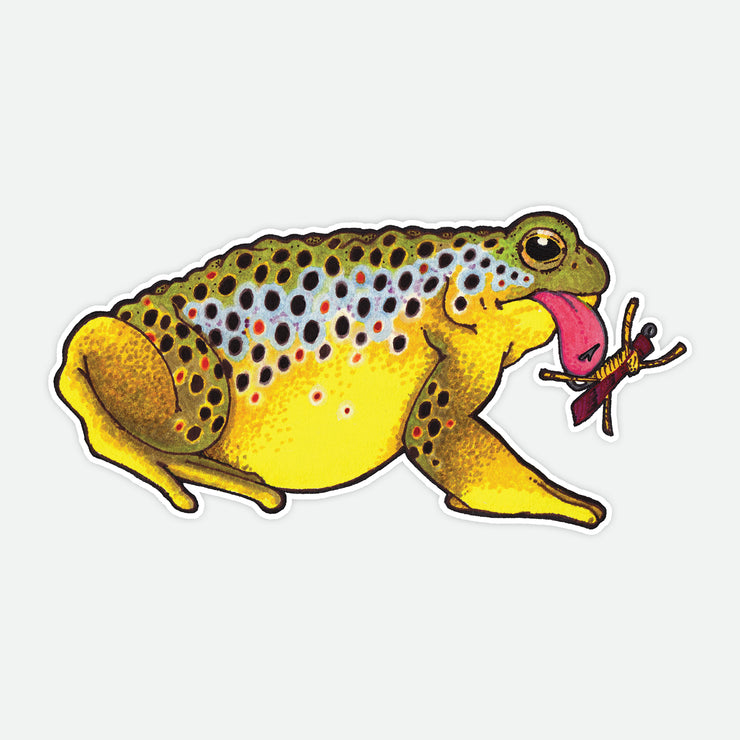 Brown Trout Toad Decal